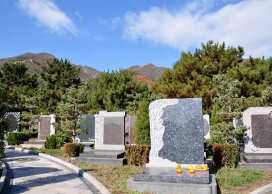 天壽陵園墓區景觀